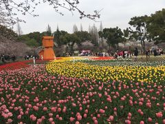 -苏州上方山国家森林公园