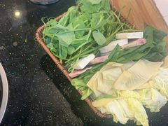 -草墩罗非鱼庄•野生菌•腊排骨(七星街上段店)