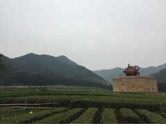 龙坞听风阁-听风阁农家私房菜茶楼(龙坞店)
