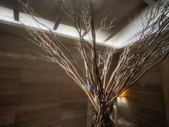 -良子健身·竹Spa(五四广场店)