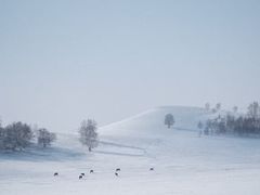 -塞罕坝国家级自然保护区