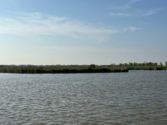 -盐城丹顶鹤湿地生态旅游区