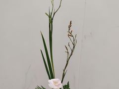 -今日陶艺(富力广场店)