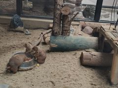 -海合安成都极地海洋公园