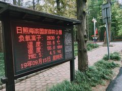 -日照海滨国家森林公园