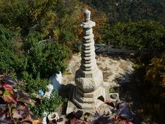 -大芦花风景区