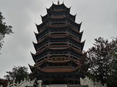 -铁山坪森林公园
