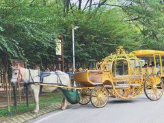 -木兰云雾山