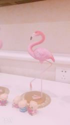 -久美荟·J Baby face