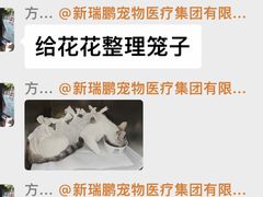 -宠福鑫康馨动物医院·骨科·眼科