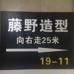 -藤野造型