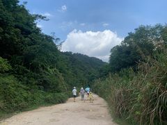 -红山村