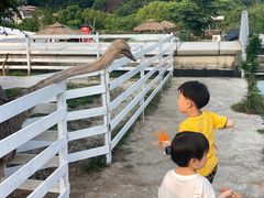 -宁波九龙湖开元度假村
