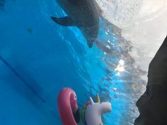 -波塞冬旅游度假区