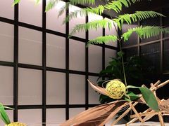 -君庭中餐馆(湘江豪生店)