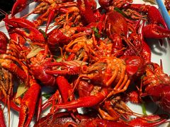 -舞虾小说.涮肉.烧烤(国顺东路店)