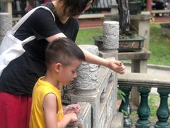 -碧江金楼