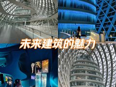-凤凰中心