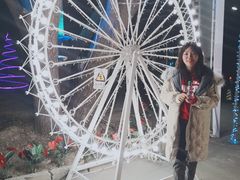 -枫花园汽车电影院(朝阳公园店)