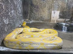 -沈阳森林动物园