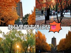 -玲珑塔公园