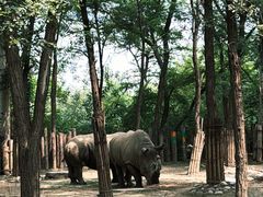 -北京野生动物园