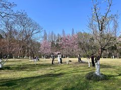 -西湖天地
