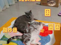 -佳雯宠物医院(四明中路分院)