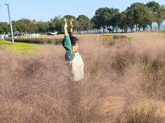 -阳澄湖半岛旅游度假区