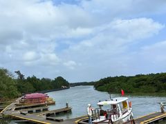 -东寨港红树林旅游区