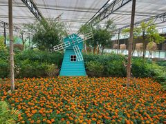 -南宫五洲植物乐园