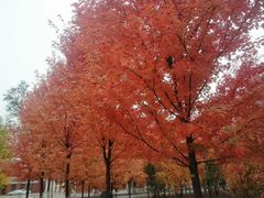 -辽宁大学(崇山校区)