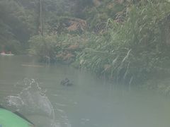 -平江沱龙峡漂流