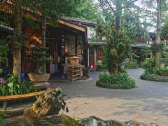 -青城甲(青城山店)