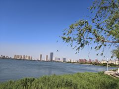 -天津金海湖
