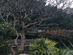 -晓港公园