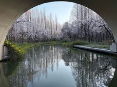 -洛阳市隋唐城遗址植物园