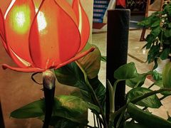 -汤泉良子.足疗按摩.SPA(中关村店)