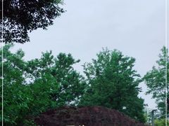 -金海湾滨江公园