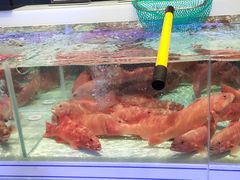 -盒马X会员店(上海森兰商都店)