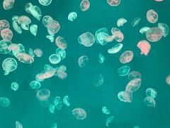 -多彩贵州城极地海洋世界