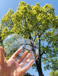 -安琪儿妇产医院·医养月子中心