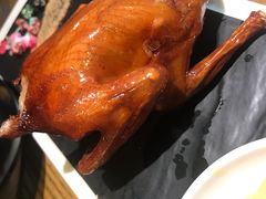 红烧乳鸽-大鸽饭(岗顶店)