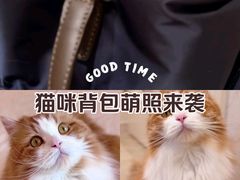 -上海市第一医药商店(南京东路店)