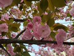 -汉长安城未央宫国家考古遗址公园