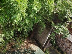 -田德能咖啡博物馆