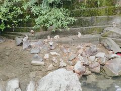 -山沟沟景区