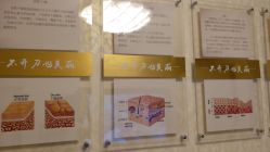 -紫洁俪方（北京）医疗美容