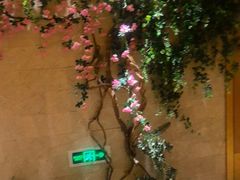 -浅深(北京北四环精品店)