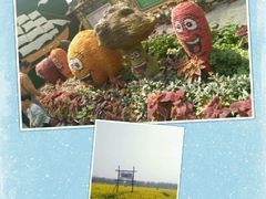 -兰陵国家农业公园